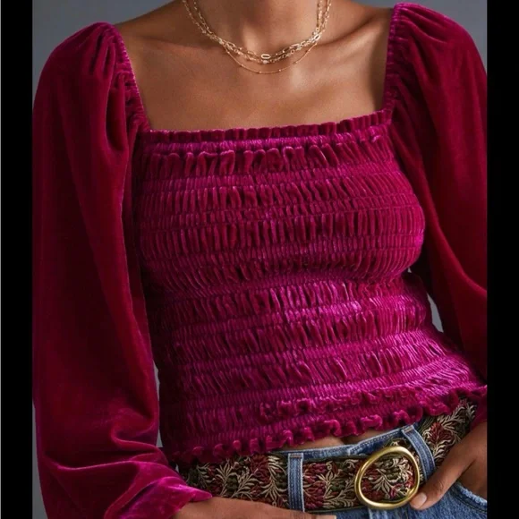 NWT Anthropologie velvet top - Picture 2 of 9